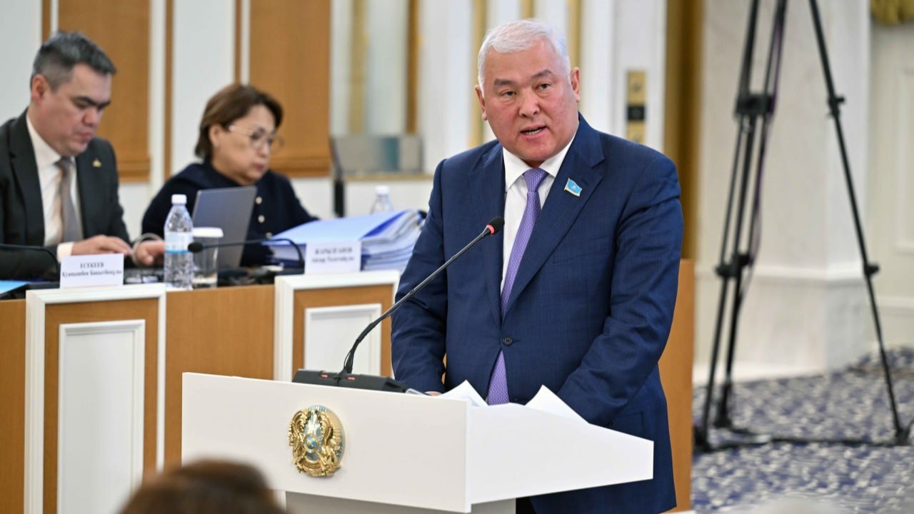 Конституциялық реформаның маңызды бағыты – шығармашылық еркіндік, сөз бостандығы болуы тиіс