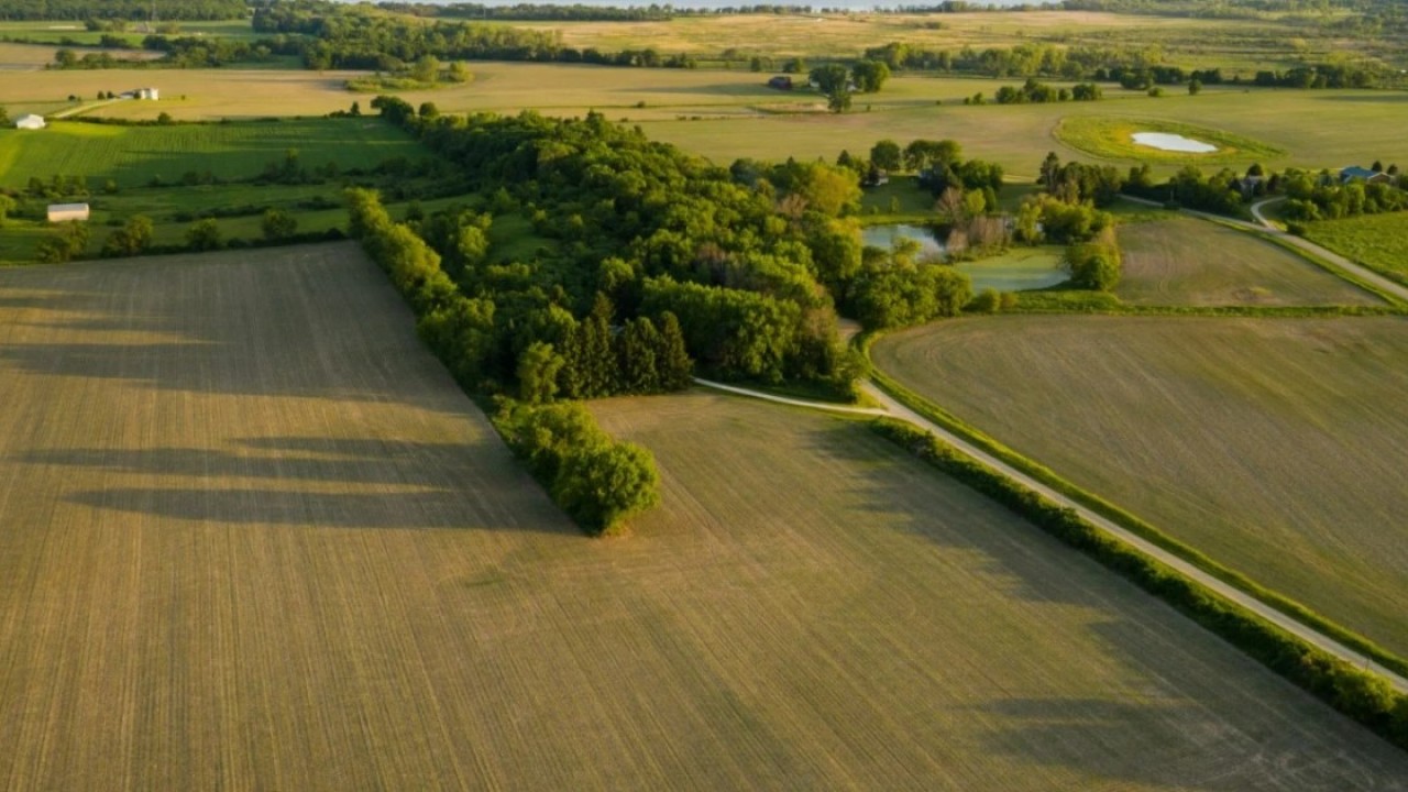 Жер учаскесін сату, оның нысаналы мақсатын өзгертуді eGov.kz-те рәсімдеуге болады