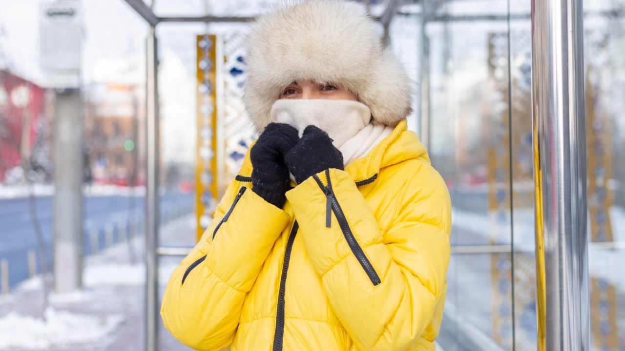 Елімізде қоғамдық жұмыстарды қадағалау күшейтіледі