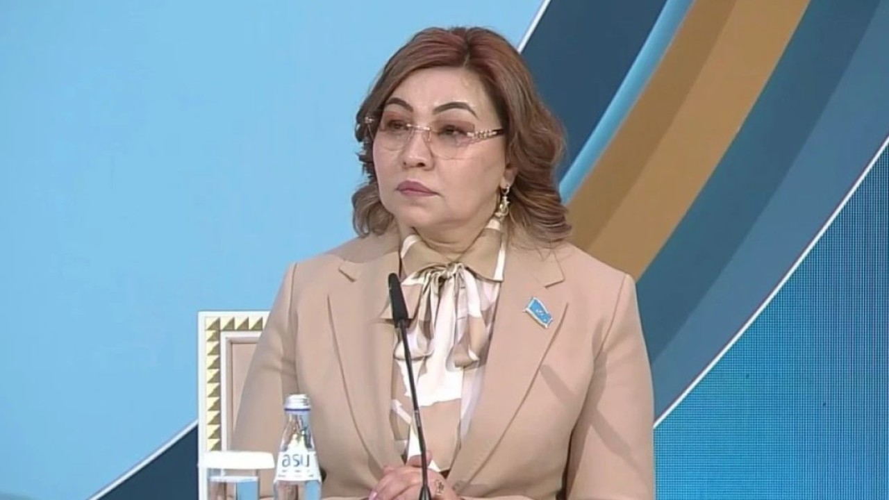 Бибігүл Жексенбай мәдениет саласында Үкімет деңгейінде бірқатар институционалдық шешімді қарастыруды ұсынды