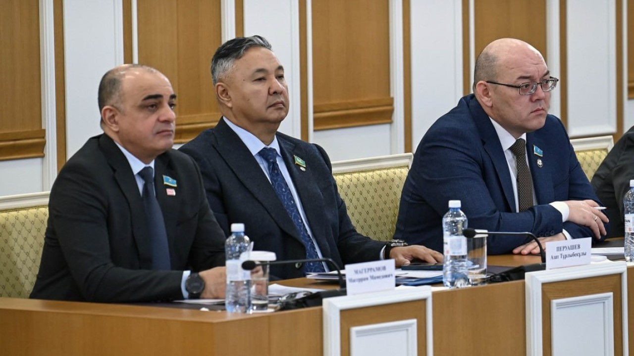 Магеррам Магеррамов: Заңдардың кері күші азаматтардың жағдайын нашарлатпауға тиіс