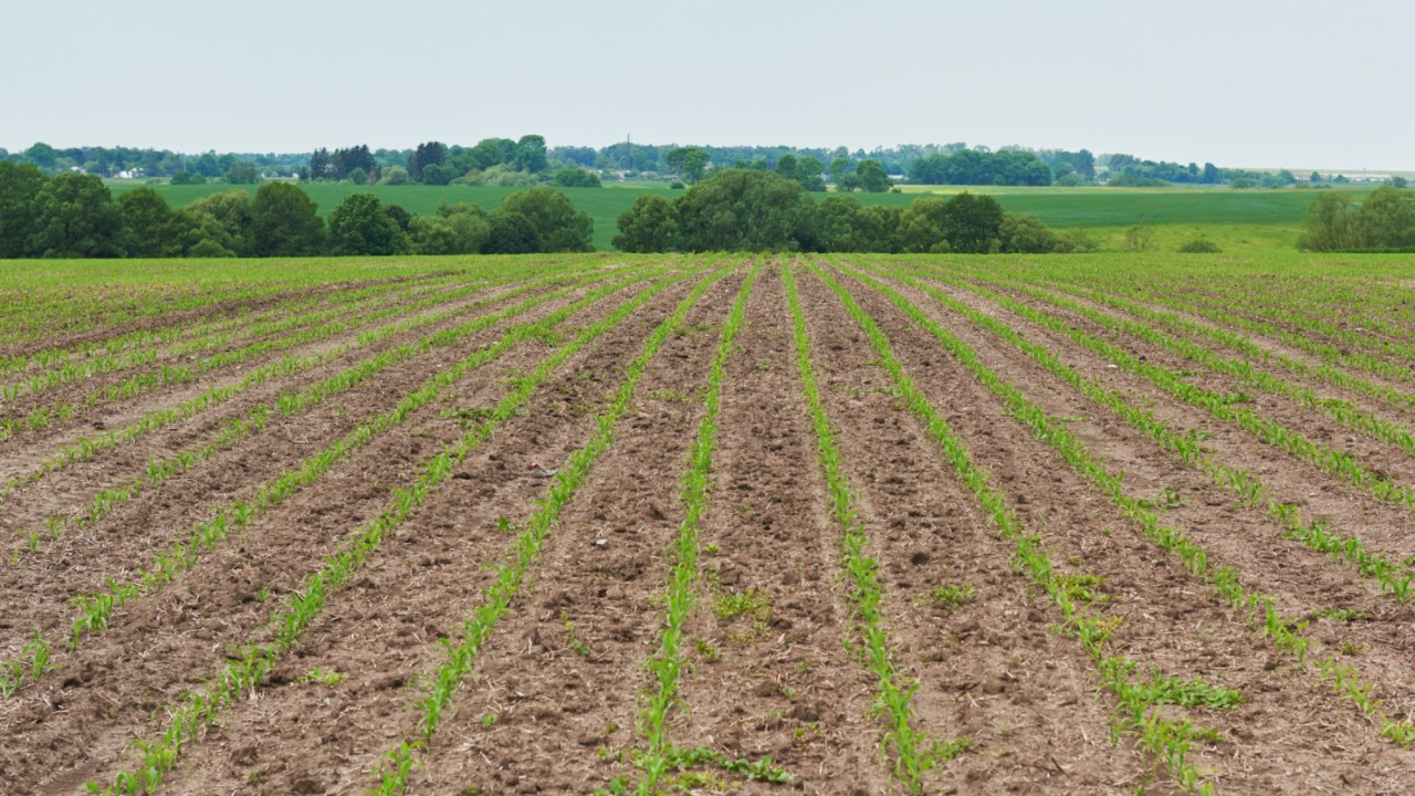 Ауыл шаруашылығы министрлігі жерлерді қайта бөлу жоспарын әзірледі