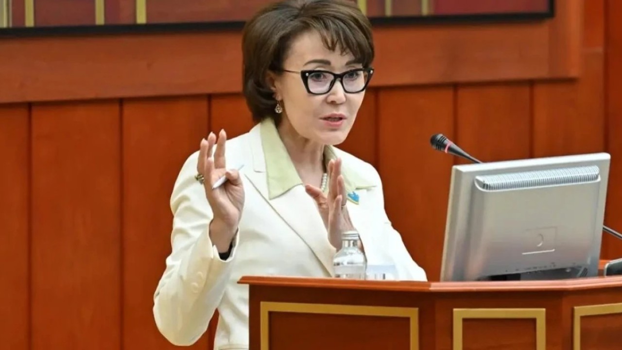 Үнзила Шапақ: Конституция жобасы БҰҰ қағидаттарына сәйкес келеді