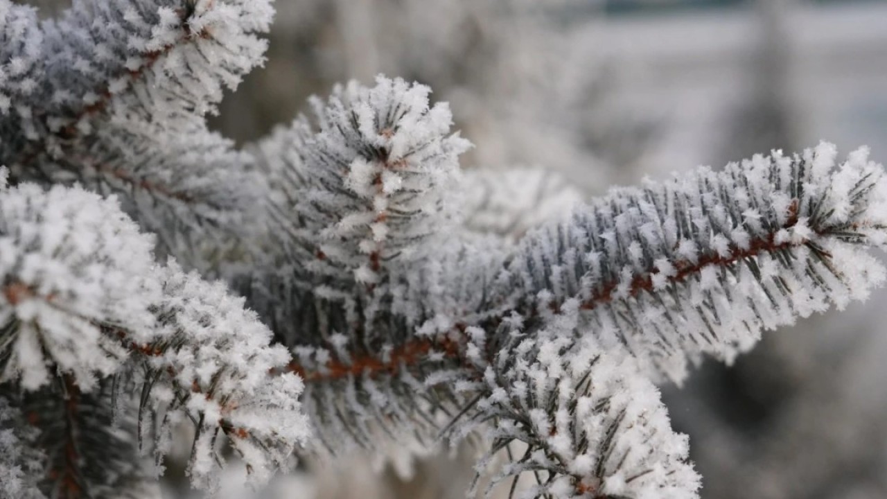 Бүгін Астанада ауа райы қандай болады