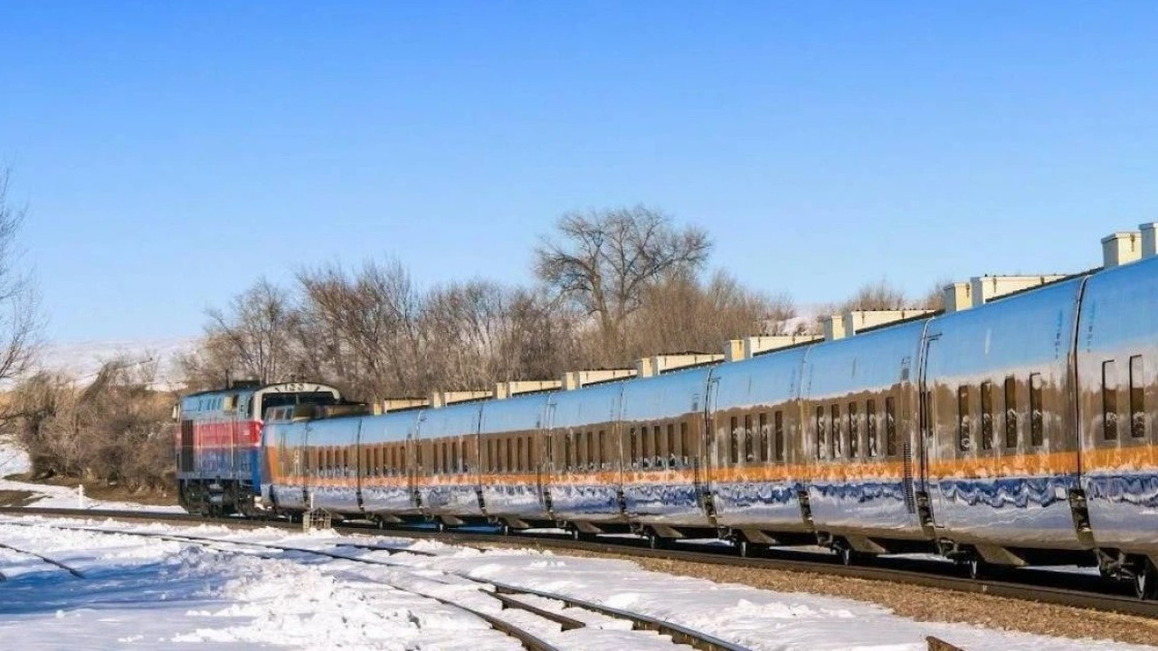 «Тальгоны» машинасымен соққан жүргізуші куәлігінен айырылды