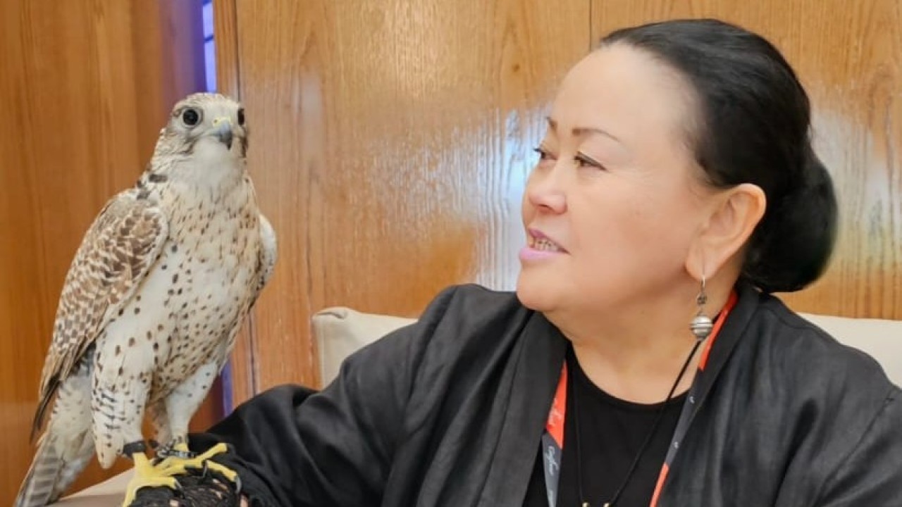 Ырза Тұрсынзада: Жобада зияткерлік еңбекті қорғау мәселесіне ерекше көңіл бөлінген