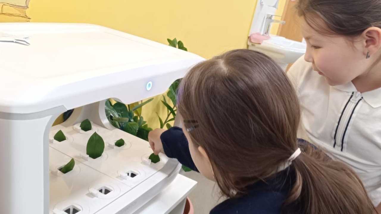 Астаналық оқушылар жылыжайда өсімдіктер өсіреді