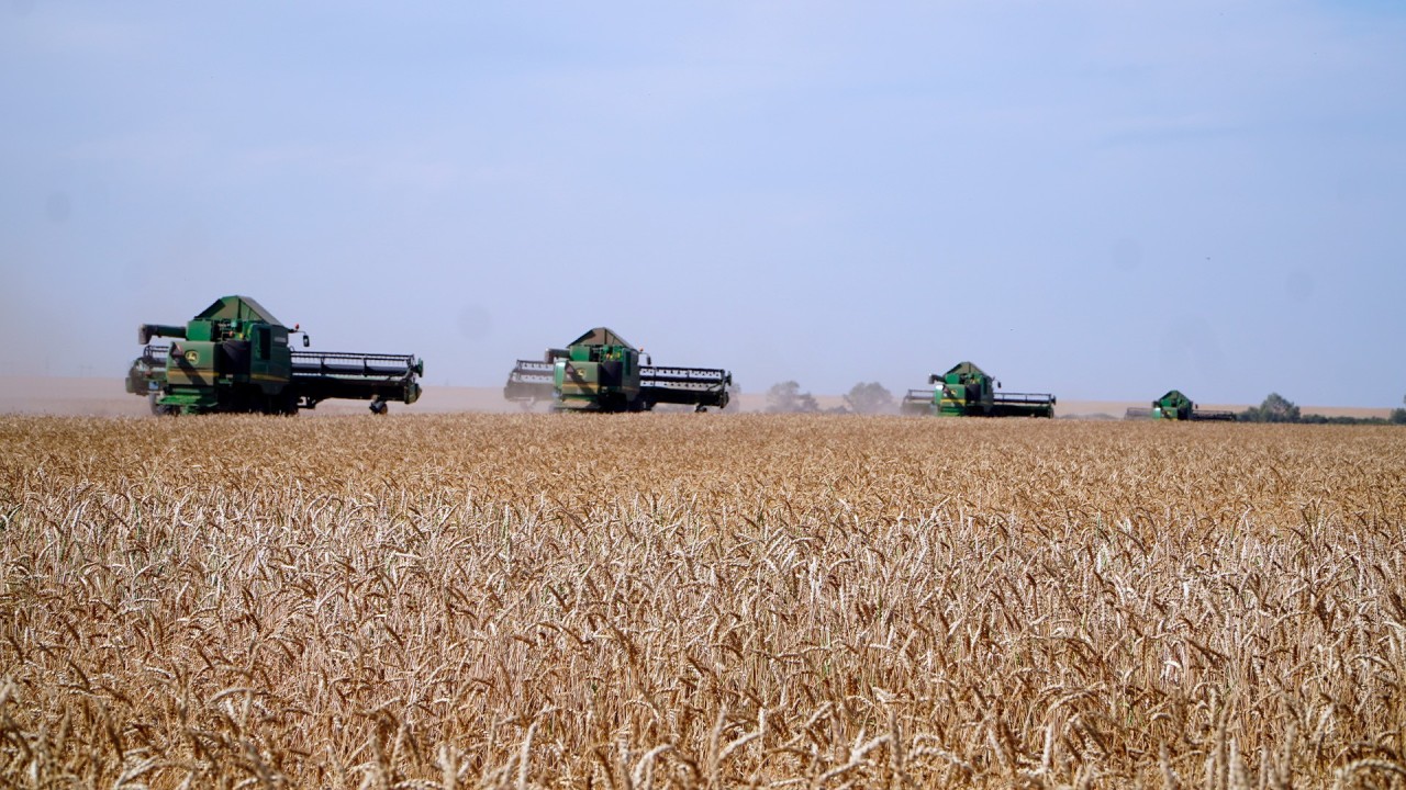 Рекордтық көрсеткіш: соңғы екі жылда 50 млн тоннадан астам астық жиналды