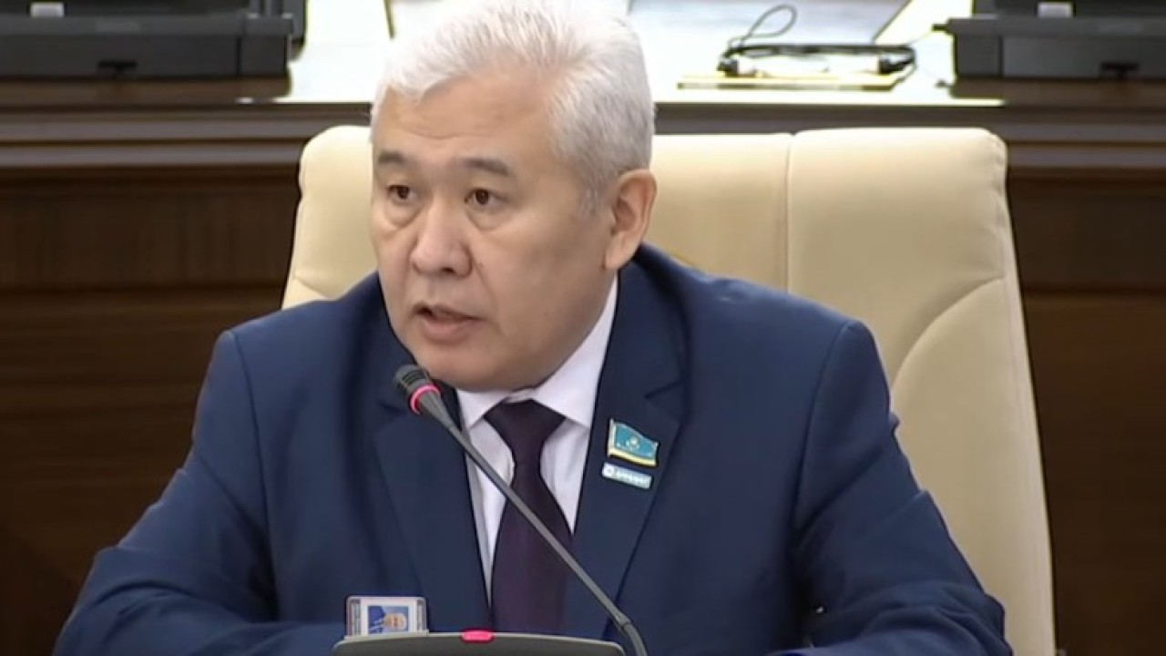 Мәжіліс депутаты: Тарихына сүйенген, егемендігін қорғай білетін ел ғана болашағын нық құра алады