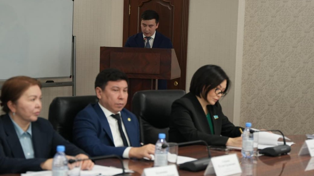 Конституция жобасы әділетті Қазақстанды құру жолындағы стратегиялық бағыттың бірізділігін дәлелдейді – Д.Шәріпбай