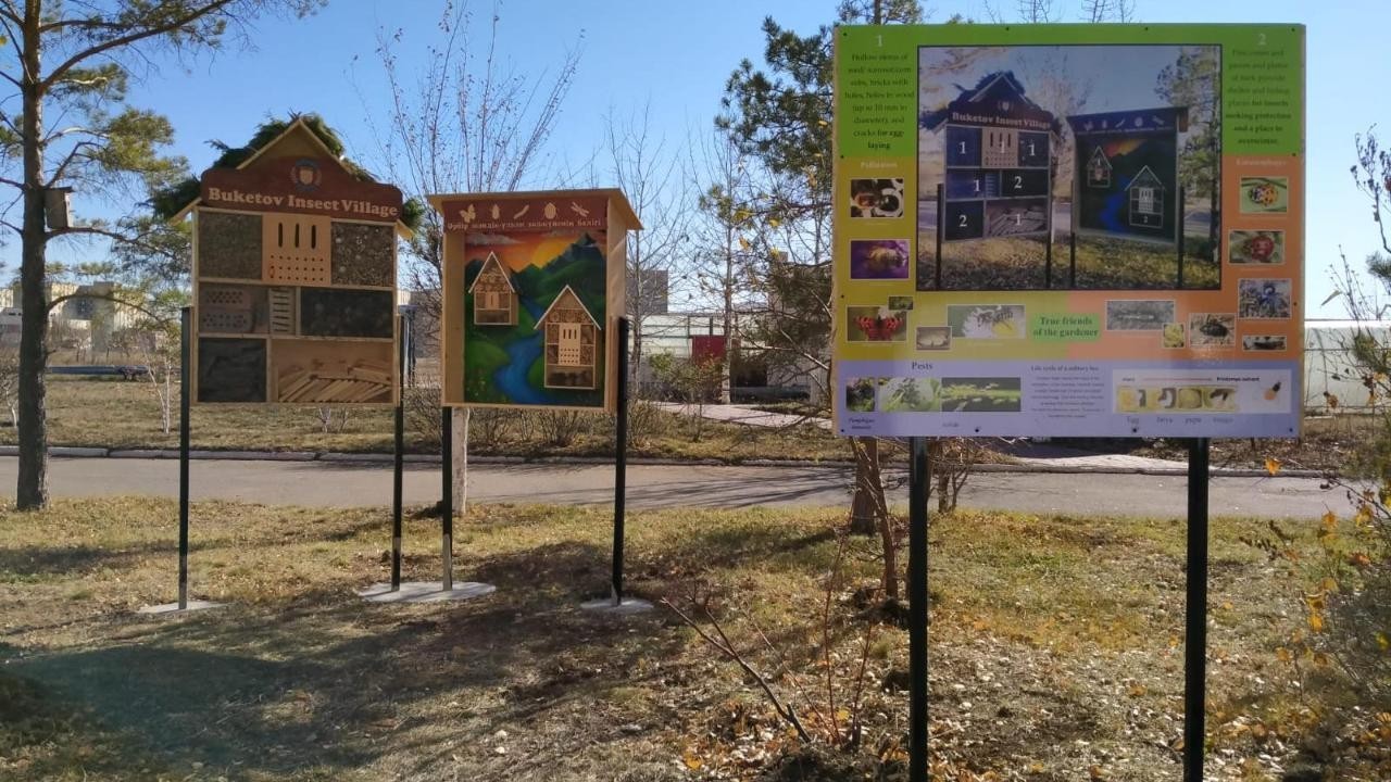 Бөкетов университетінде пайдалы жәндіктерге арналған «қонақ үй» ашылды