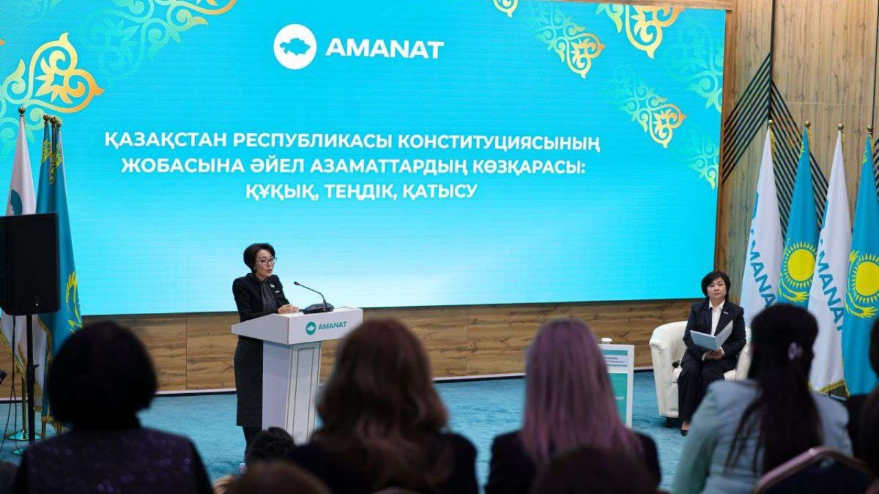 Үнзила Шапақ: Конституция жобасы ұлттық құндылықтарға негізделген және халықаралық стандарттарға сай