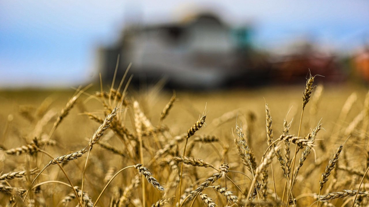 Қазақстанда агроөнеркәсіп кешеніндегі терең өңдеу жобалары жүзеге асып жатыр