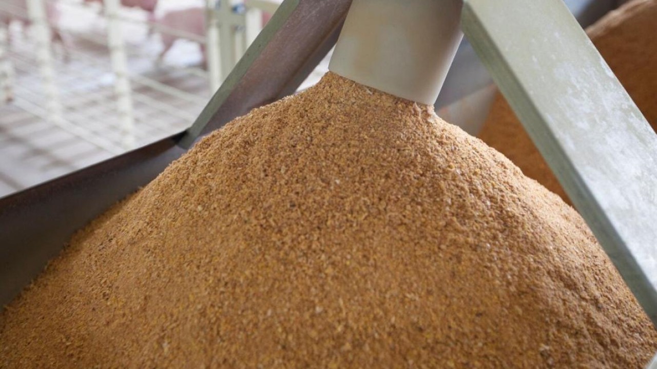 Қытайға жемдік ұн тиелген контейнерлік пойыз жөнелтілді