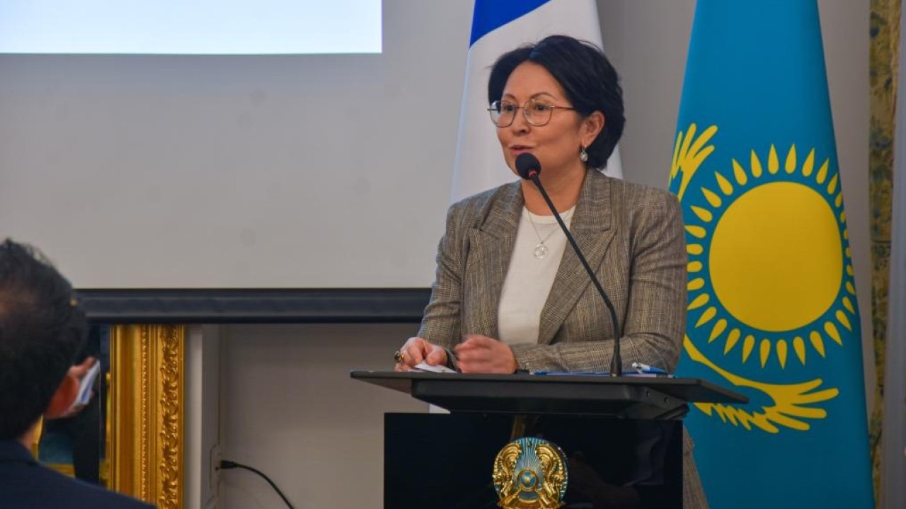 Францияда Қазақстанның жаңа Конституция жобасы таныстырылды