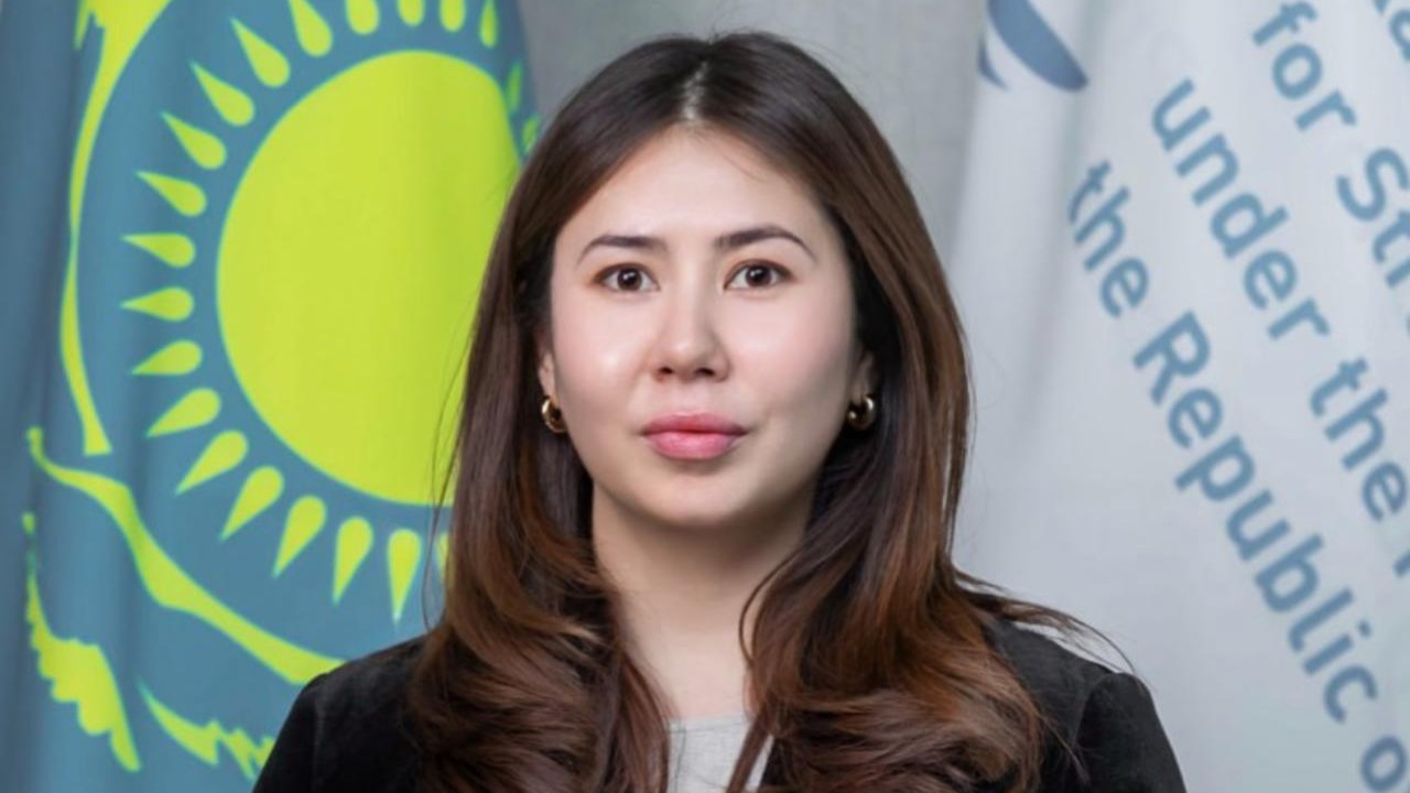 Жаңа Конституция: қоғам мен мемлекеттің өзара әрекеттесу моделінің өзгеруі