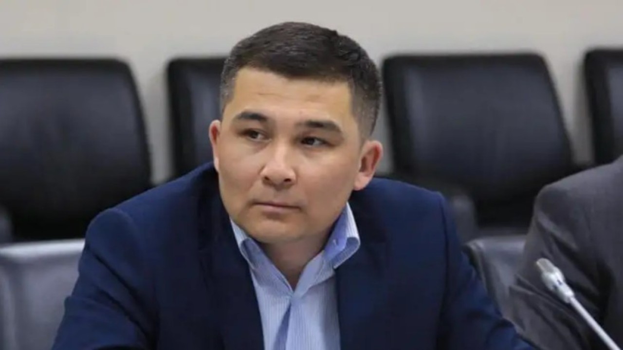 Бір палаталы парламент заң қабылдау процесін жеделдетеді - саясаттанушы