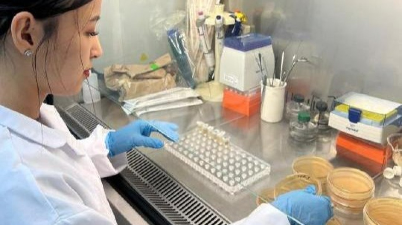 Қазақ ғалымдары диабеттің алдын алатын биологиялық белсенді қоспа әзірледі