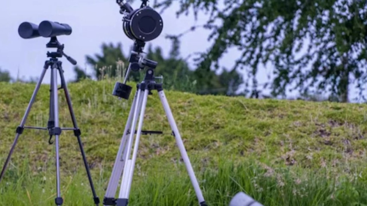 Алматы облысында 150 мың гектар жер мемлекет меншігіне қайтарылды