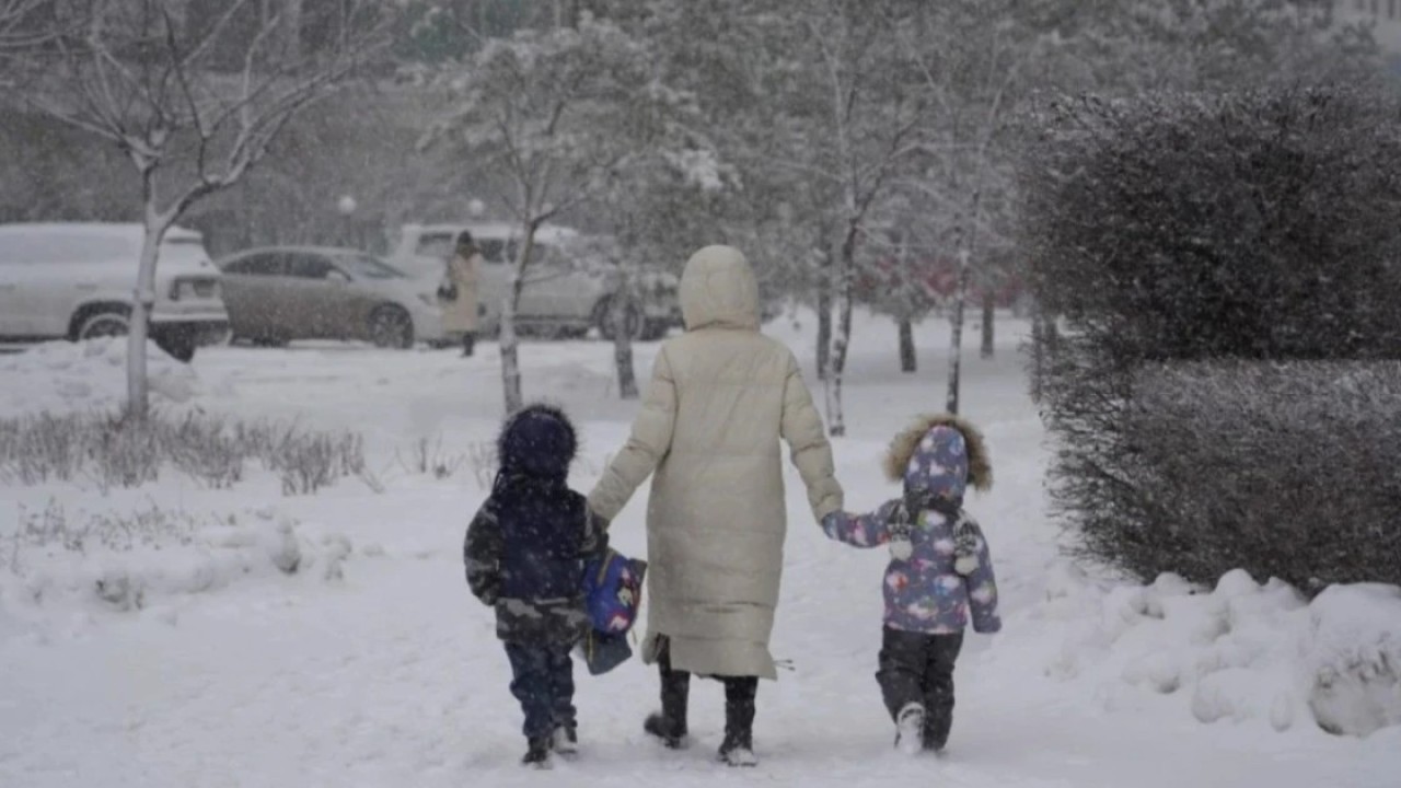 Ертең елордада оқушылар мен студенттер қашықтан оқиды