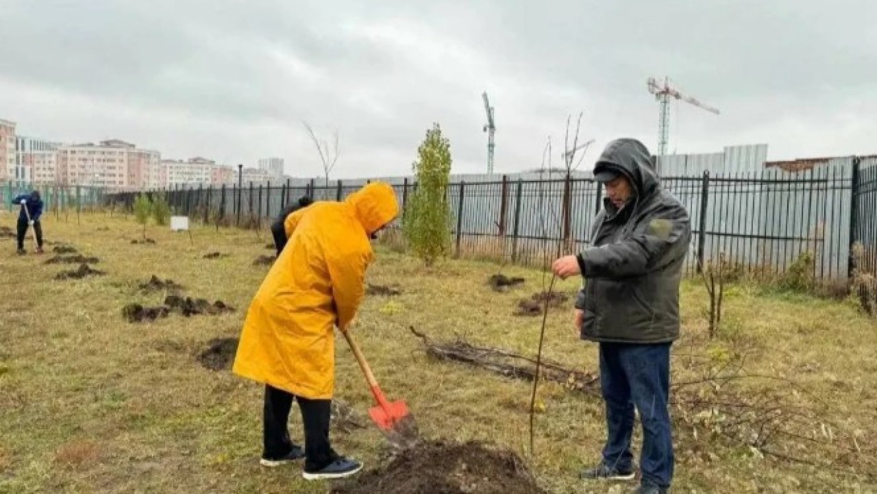 Сәбилерге арнап ағаш отырғызу: Астанада Жаңару күні қалай өтеді