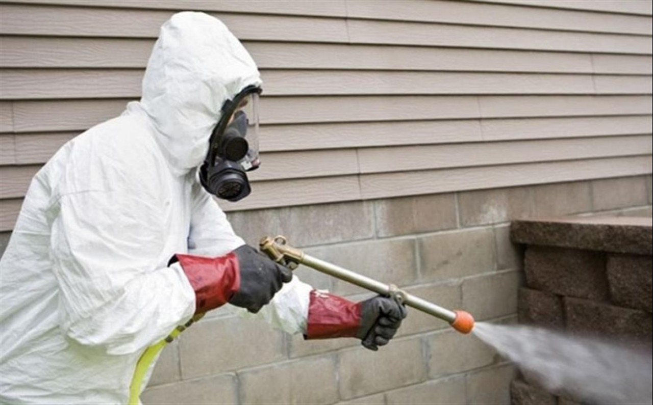 Астанада көктемгі кеміргіштерге қарсы шаралар басталды