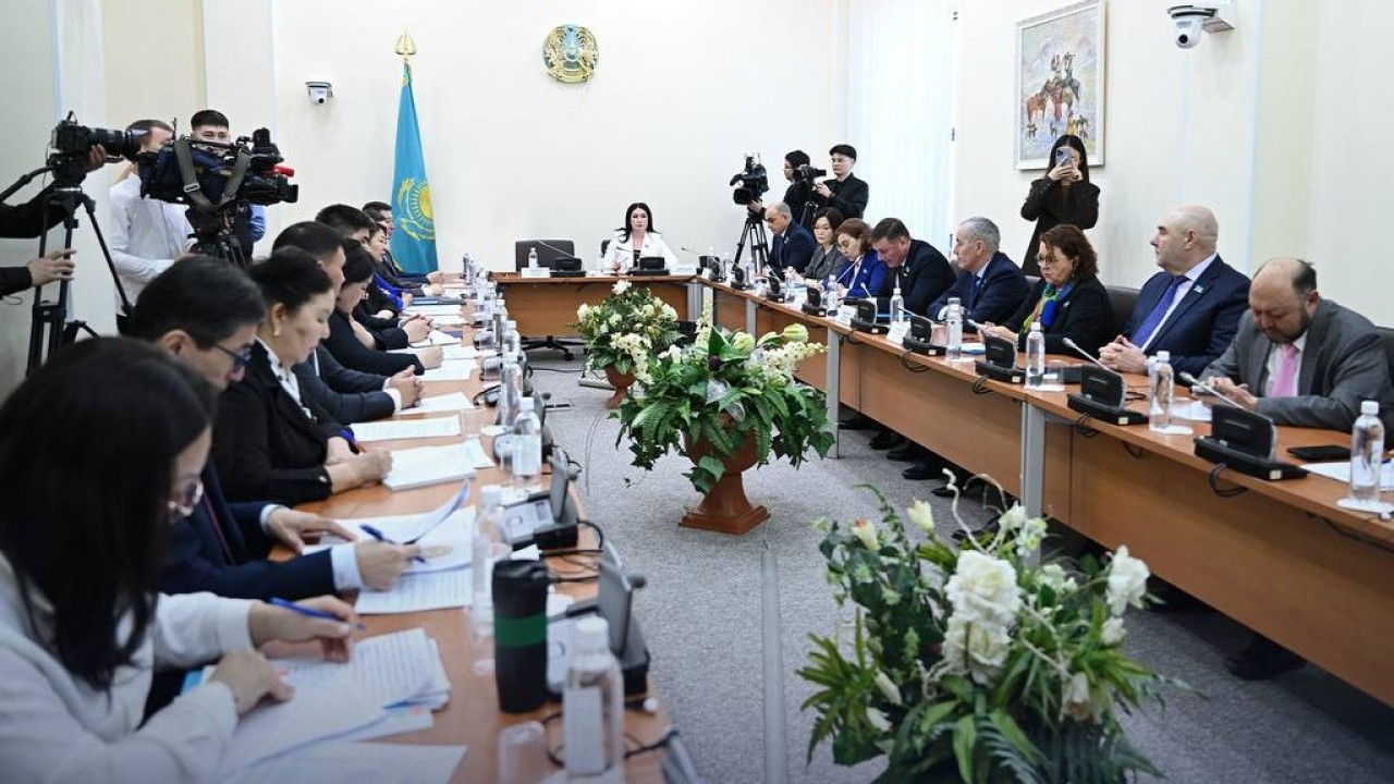 Депутаттар алимент міндеттемелерін орындауды жетілдіру мәселелерін қарастырды