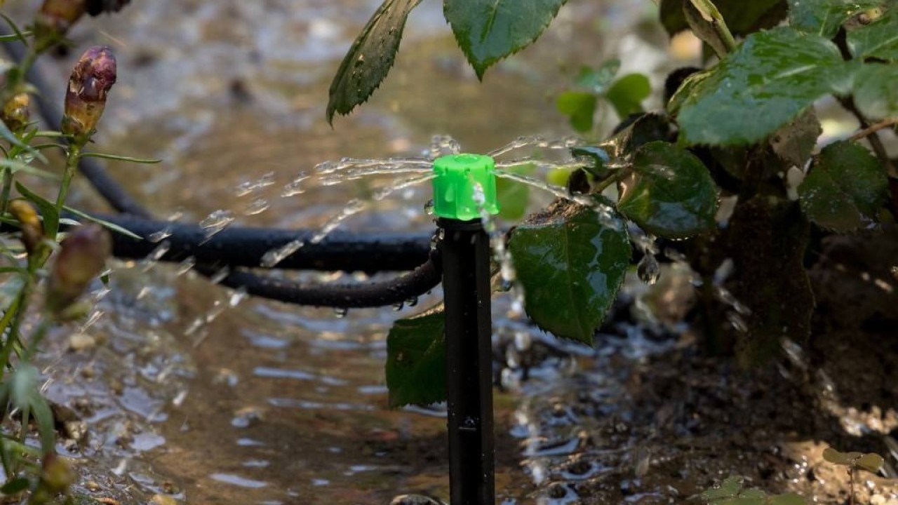 Елімізде су үнемдеу технологияларын енгізу қарқыны бес есе жеделдеді