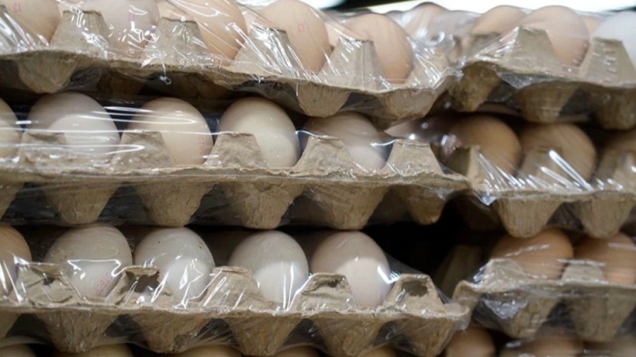 Тауық жұмыртқасы қаптамада көрсетілген салмаққа сәйкес келе ме - министрлік жауабы