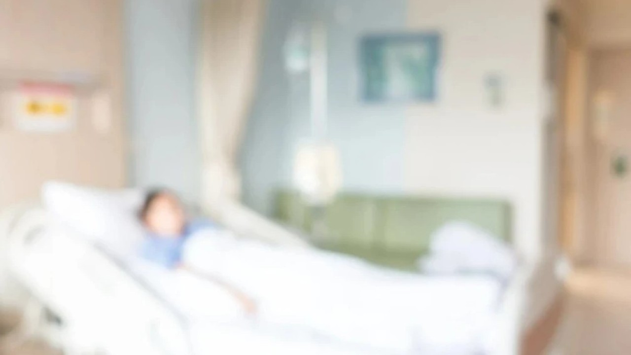 Павлодарда мысықты құтқармақ болған ер адам ағаштан құлап қайтыс болды