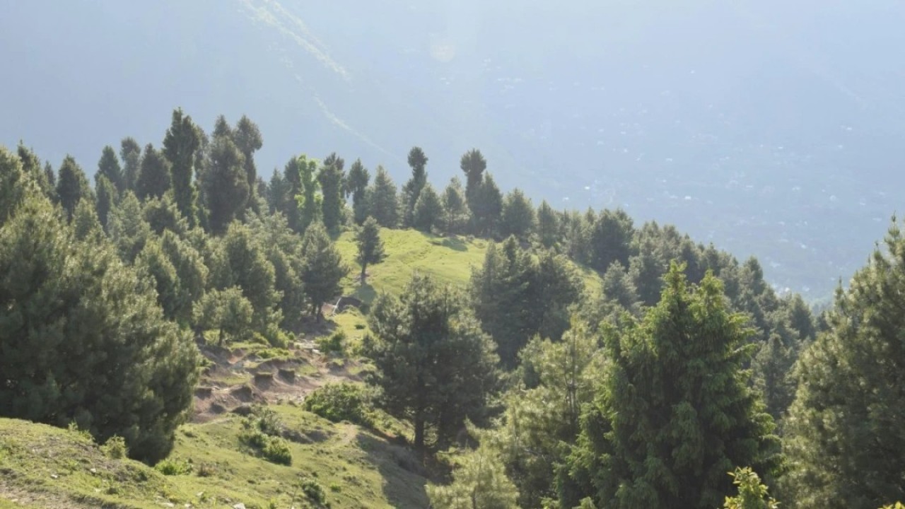 «Медеу» маңындағы 288 гектар жер телімі мемлекетке қайтарылды