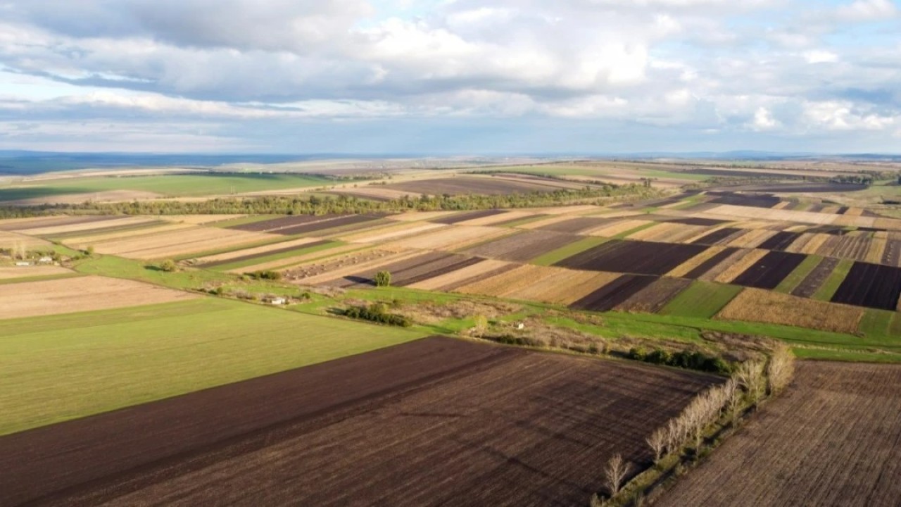 Қостанай облысында 1,1 мың гектар жер мемлекет меншігіне қайтарылды