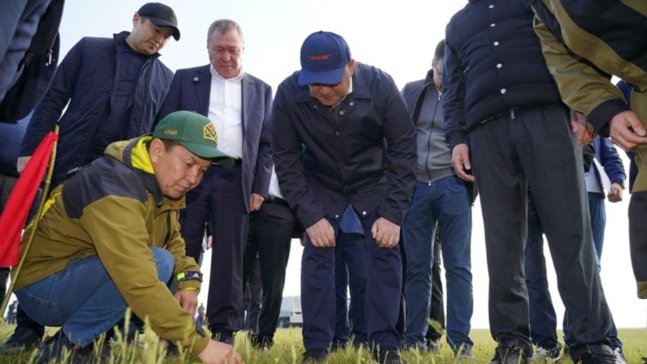 Биыл елімізде 2,2 млн гектар алқапта шегірткеге қарсы химиялық өңдеу жүргізіледі