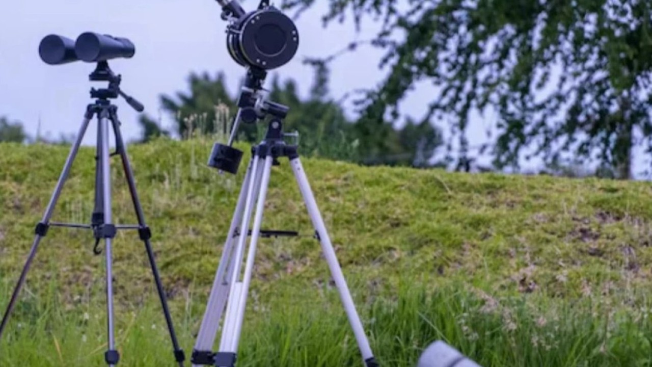 Іле Алатауының тау бөктеріндегі жер телімі мемлекетке қайтарылды