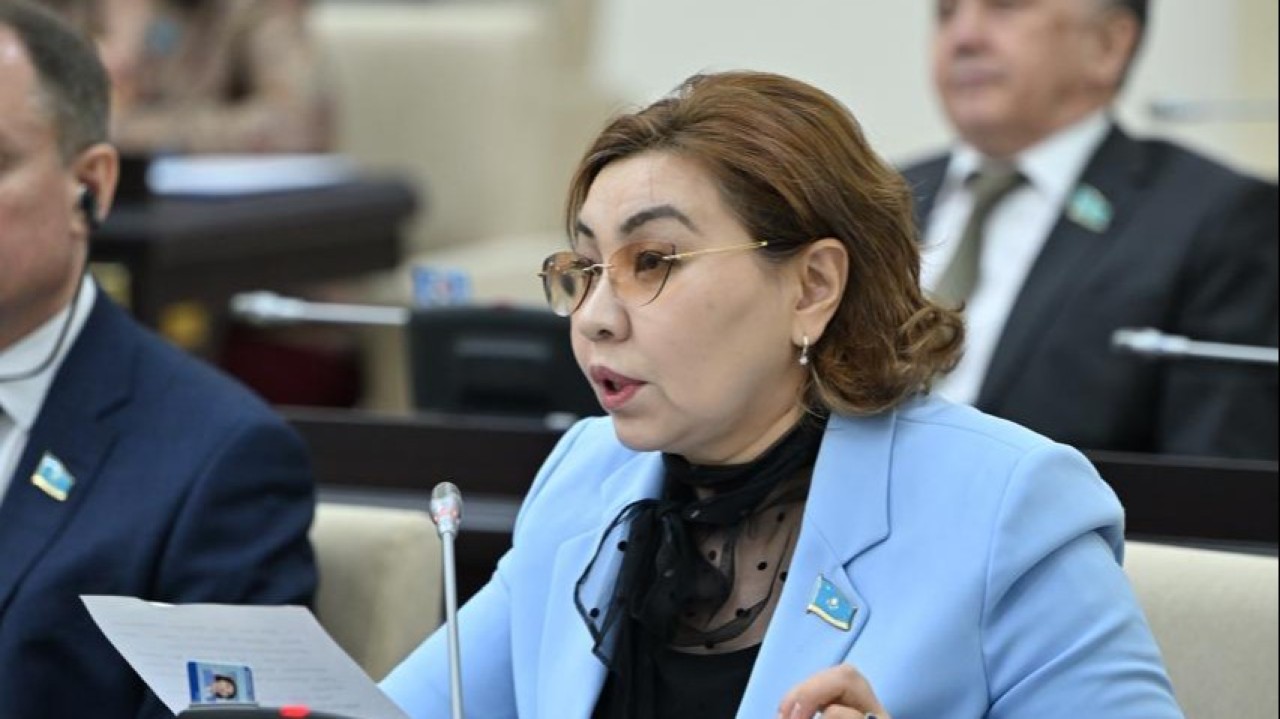 Сенатор жеткізу және такси саласында жұмыс істейтін азаматтардың құқықтарын қорғауды күшейтуді ұсынды