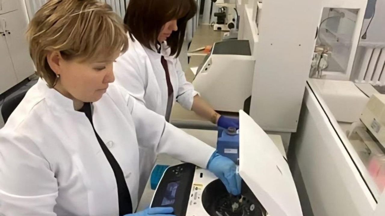 Ел ғалымдары жаңа астық сорттарына патент алды