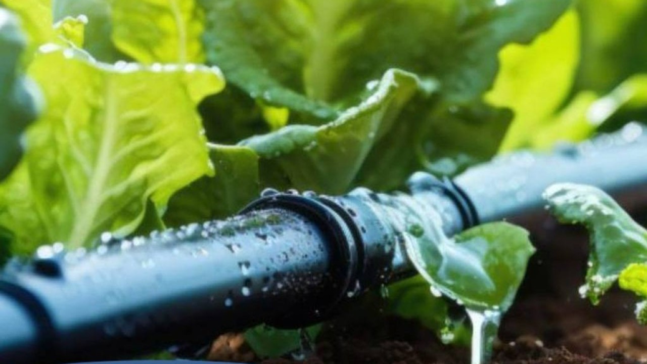 Шаруаның су үнемдеу технологиясын енгізуге жұмсаған шығынын өтеу үлесі 80%-ға дейін ұлғайтылды