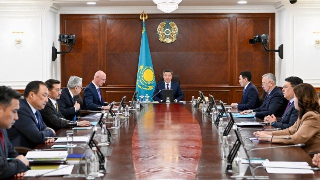 Үкіметте инклюзивті саясат шаралары қаралып жатыр