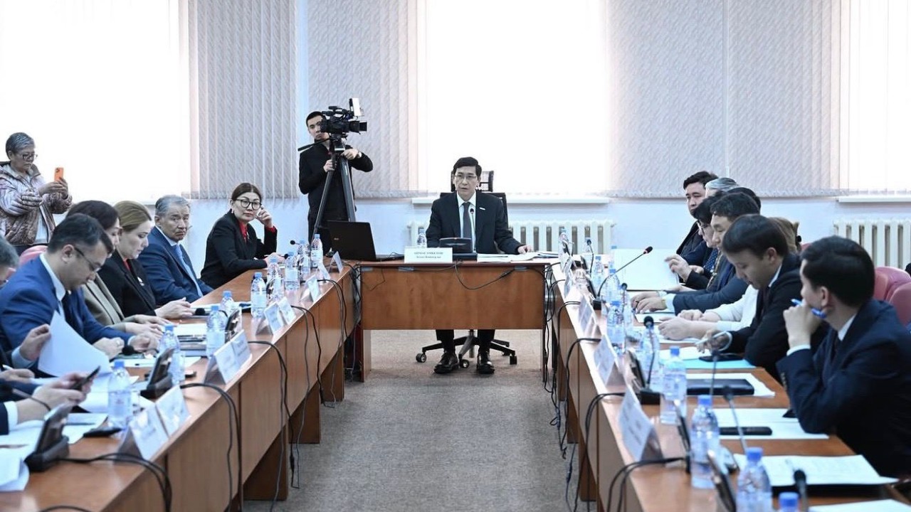 Мәжіліс депутаттары көшпелі отырыста есірткіге, алкогольге тәуелділікті және ойынқұмарлықты емдеу мәселелерін талқылады