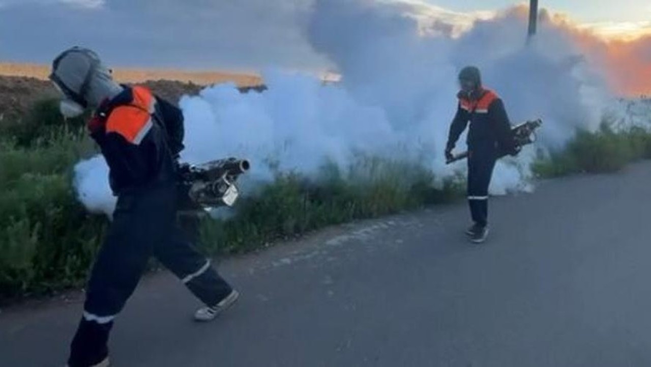Астанада маса мен шыбын-шіркейге қарсы ауқымды өңдеу жұмыстары жүргізіліп жатыр