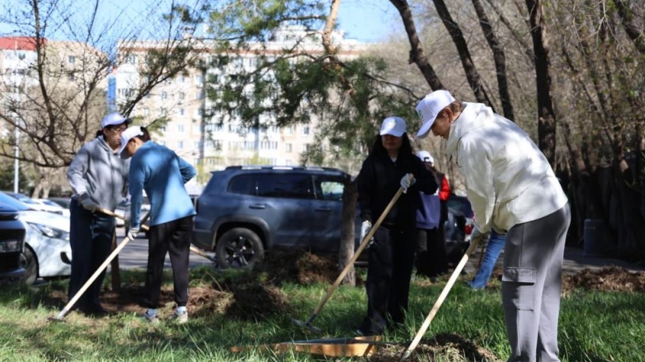 Астанада «Таза Қазақстан» акциясы жалғасуда: шығармашылық ұжымдар экоакцияға қосылды