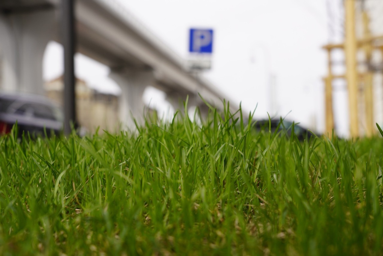 Бүгін түнде Астанада топырақ бетінде үсік болуы мүмкін