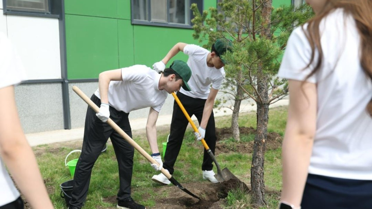 100 мыңнан астам мектеп түлегі елімізді көгалдандыруға атсалысты