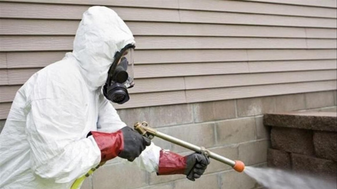 Елордада кеміргіштерге қарсы күрес екі маусымда өтеді