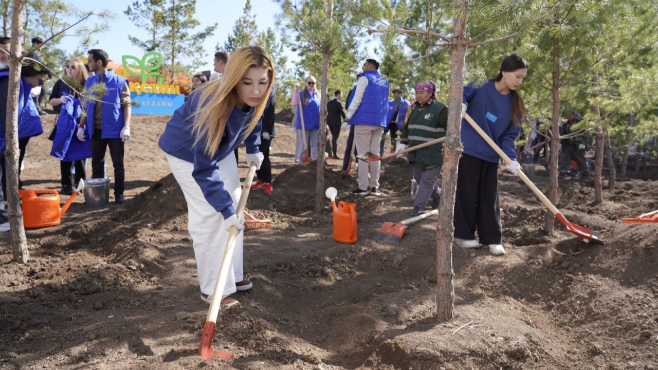 «Таза Қазақстан»: елордада Қазақстан халқының бірлігі мерекесіне орай 60-қа жуық көшет отырғызылды