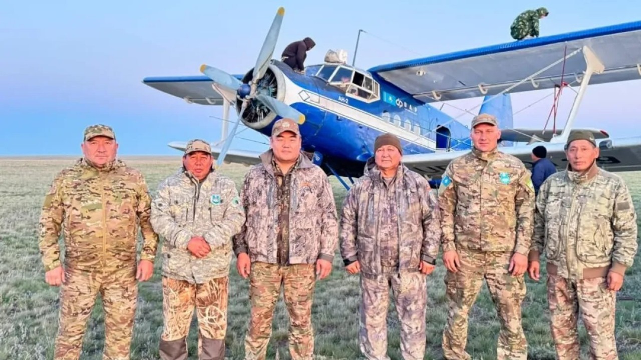 Қорғалжын қорығында қанша киік бар екені белгілі болды
