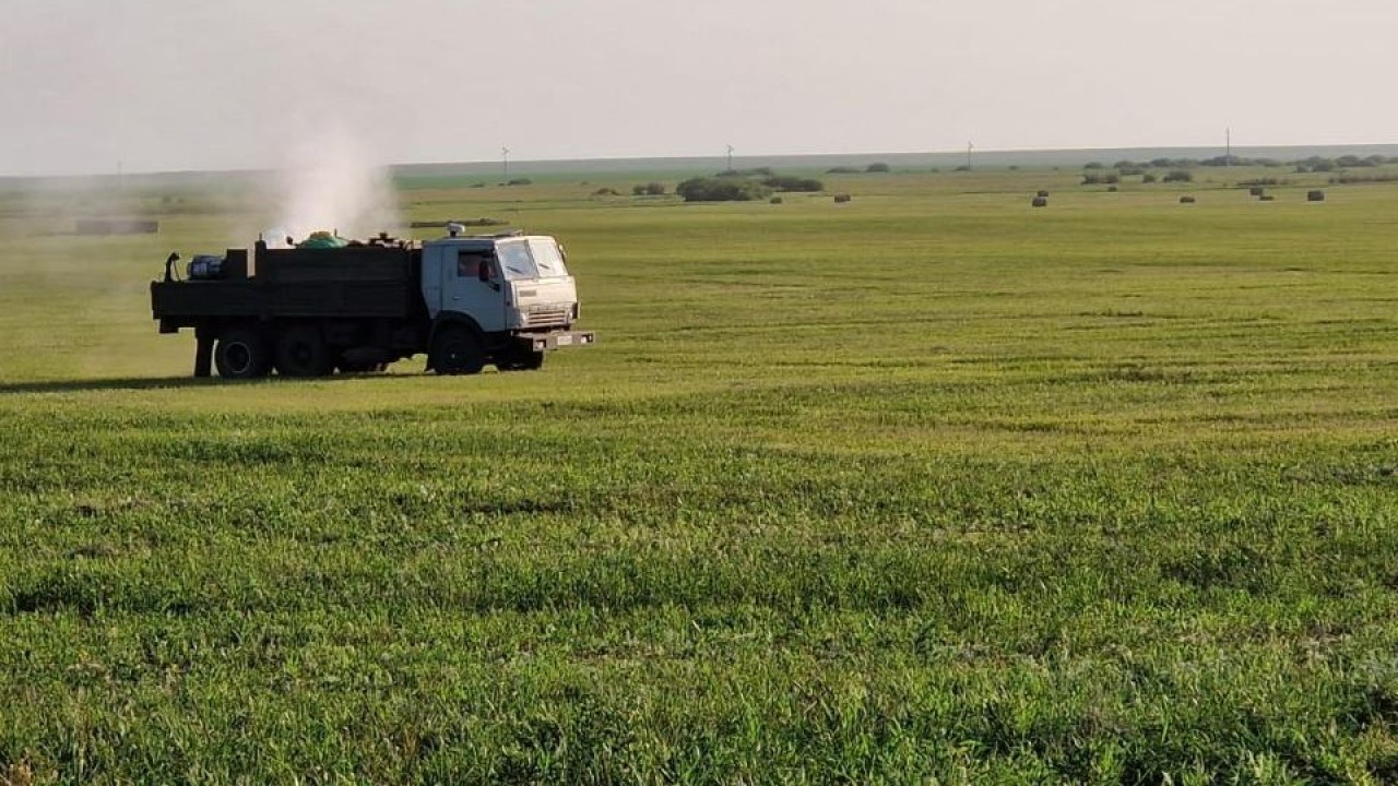 Фитосанитариялық мониторингтің геоақпараттық жүйесі жаңартылды