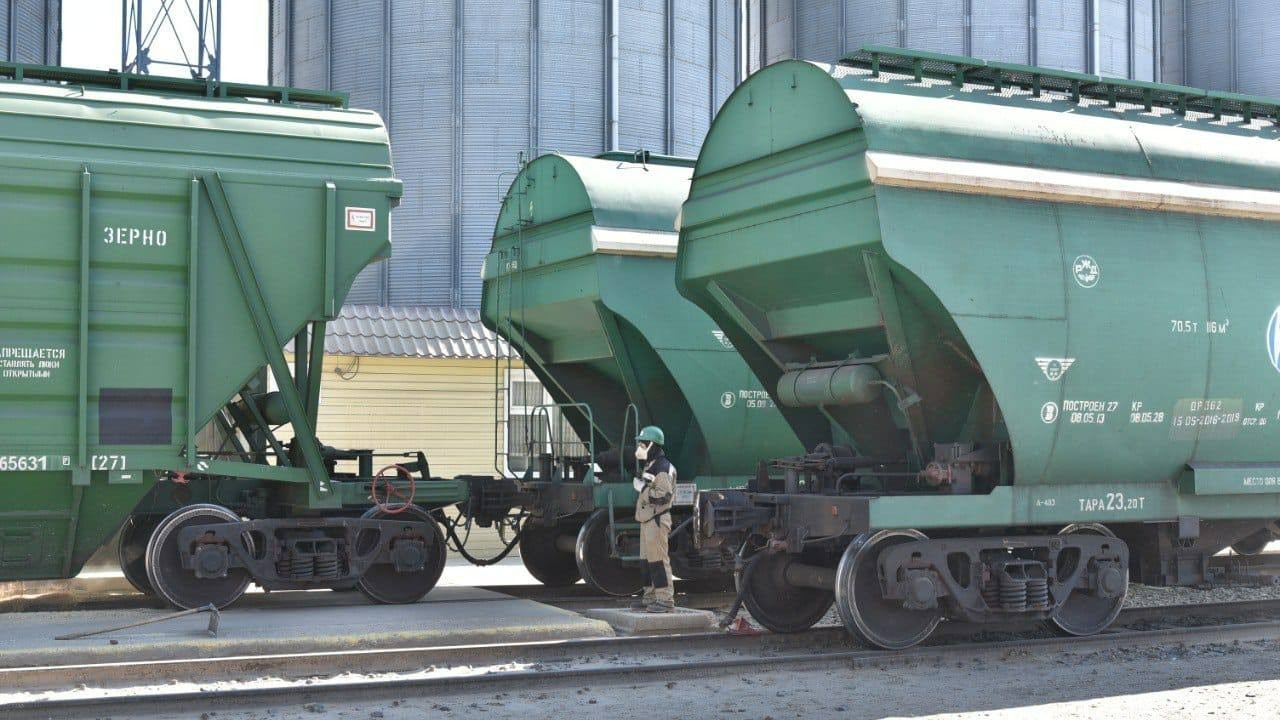Қазақстанның астық пен ұн экспорты 13 пайызға ұлғайды