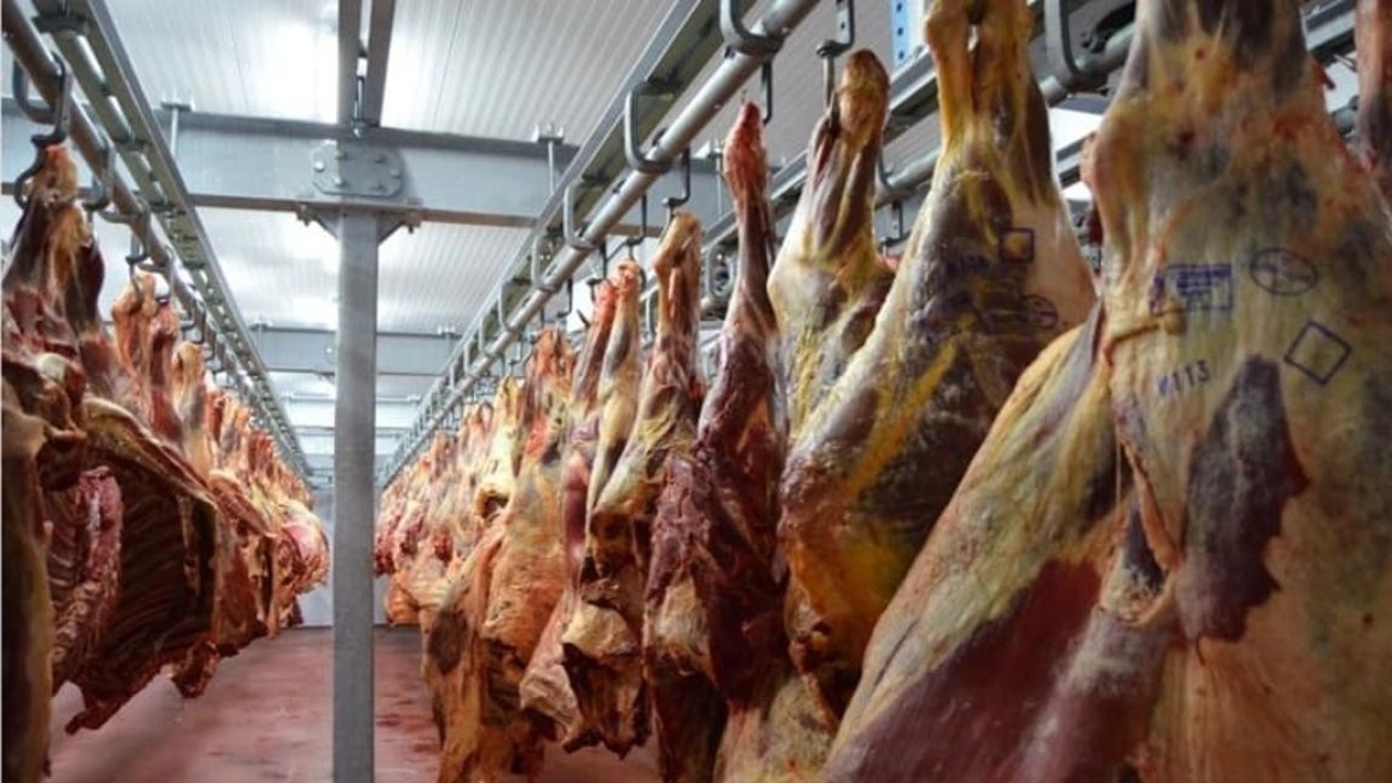 Елімізде барлық ет түрлерін өндіру көлемі 338 мың тоннадан асты