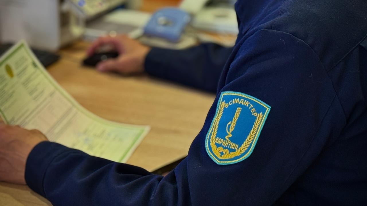 Жетісу облысында 113 тонна өнімнің заңсыз өтуіне жол берілмеді